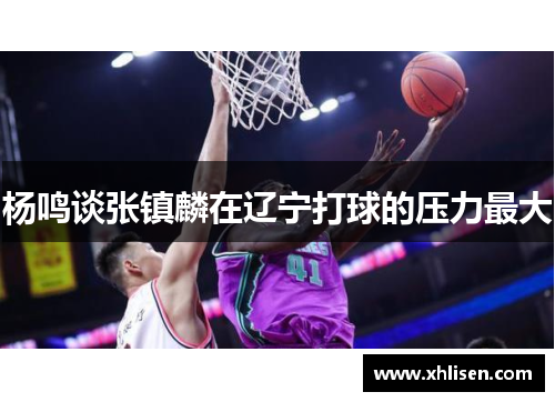 杨鸣谈张镇麟在辽宁打球的压力最大
